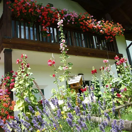 Bed and Breakfast La Capannina Coredo Exterior foto